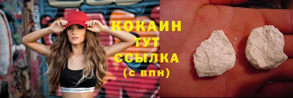 прущие грибы Аркадак