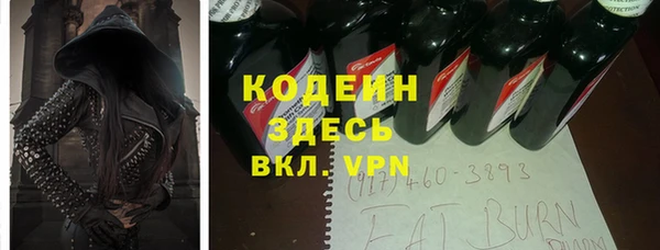 прущие грибы Аркадак