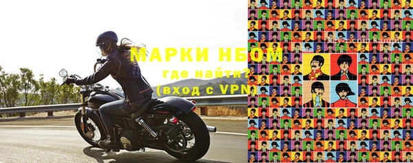 прущие грибы Аркадак