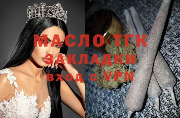 прущие грибы Аркадак