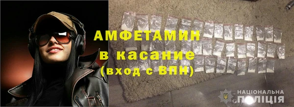 прущие грибы Аркадак