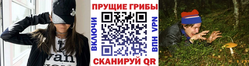 где купить   Горбатов  Псилоцибиновые грибы прущие грибы 